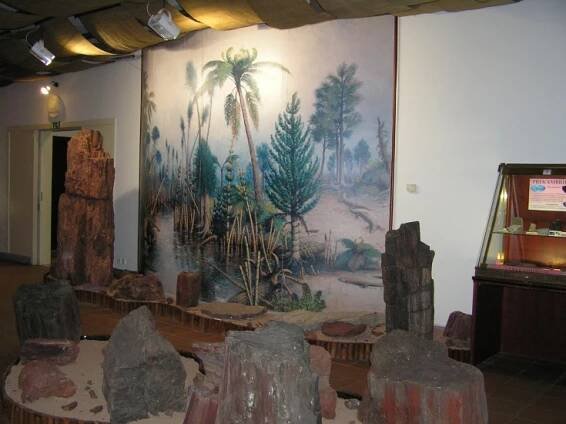 expozice-geologickeho-vyvoje-1716