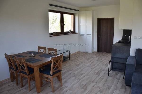 Apartmán 198 - Černý Důl