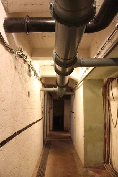 Olomoucká muzejní noc láká na desítky míst i na anatomii Kam vyrazíte?