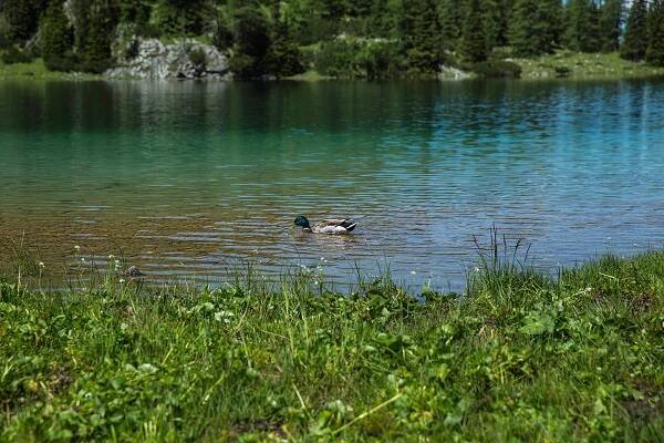 Bikeguiding Zugspitzarena - Gallery