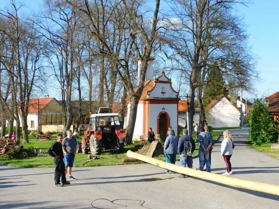 Stavění májky v Ražicích - 30.4.2023 - Oficiální stránky obce Ražice