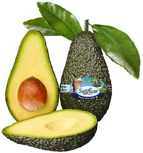 SanLucar Premium Avocado Essreif