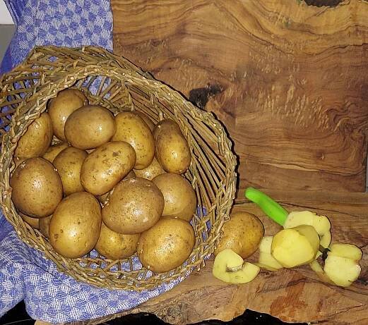 Lebens-Mittel – Mittel zum Leben