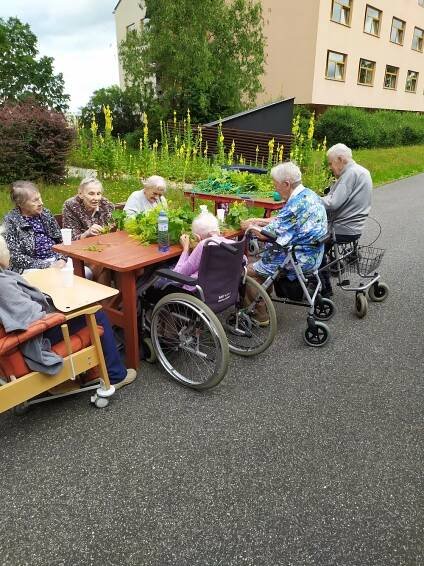 Červen v domově 2020 - Dům seniorů Františkov, Liberec, příspěvková organizace