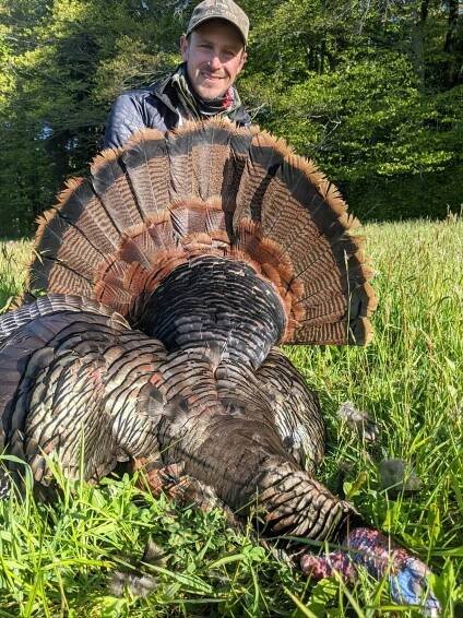Dan Armstrong - Cbolodge