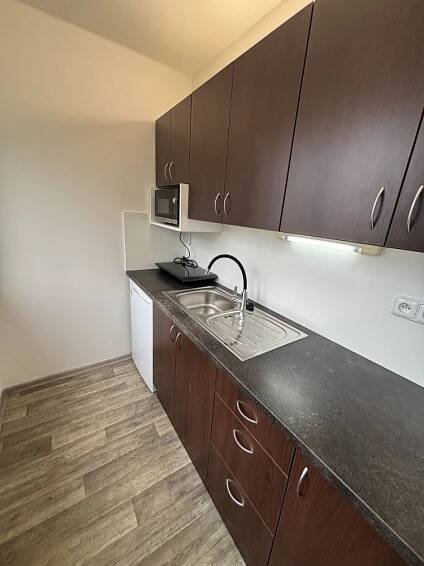 Pronájem bytu 1+kk 28 m², Severní, Hradec Králové - Slezské Předměstí