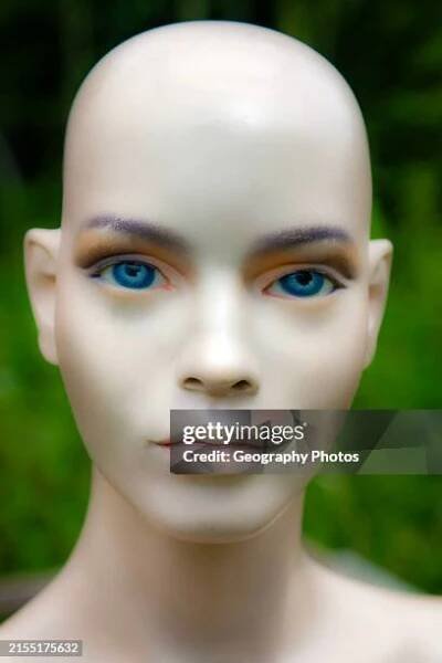 Female mannequin face doll model woman bald blue eyes close-up.