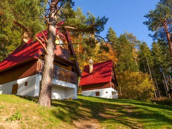 Ubytování Horní Planá - Jenišov, Chaty Lipno Lipenka Jenišov - Šumava chatka, 2431 - ID 2431