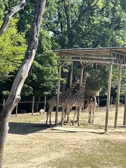 ZOO Lešná Zlín - Střední škola služeb s.r.o.
