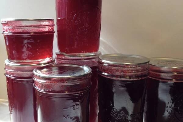 seedless raspberry jam 1200
