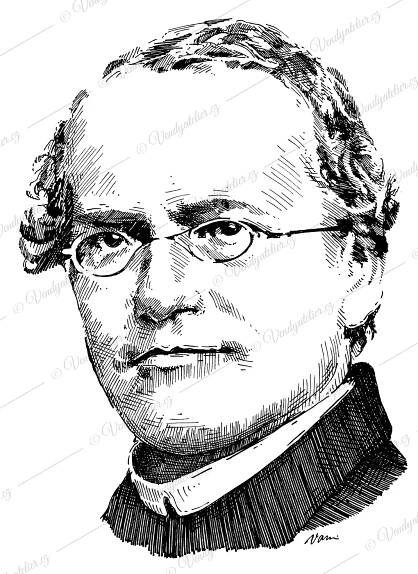 Gregor Johann Mendel | VENDY atelier