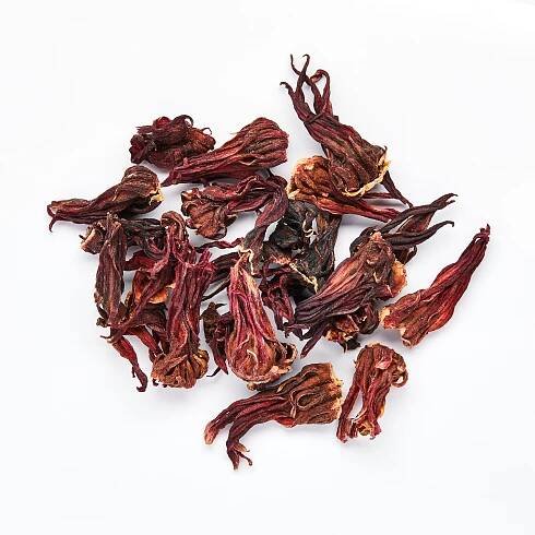 Hibiscus_Pile_248.jpg