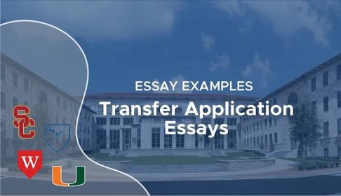 Common App Transfer Essay Examples