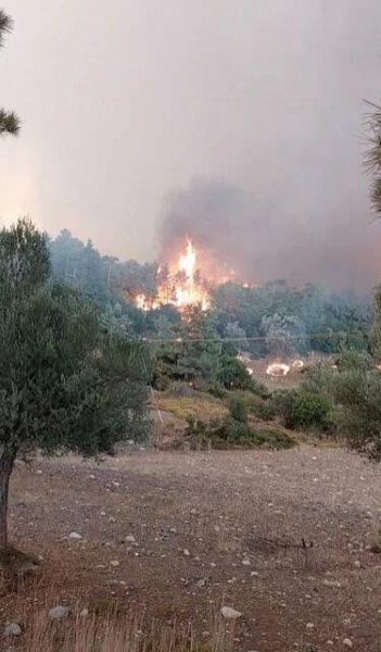 Cestovky nás nutí na Rhodos. Delegátka není, výlety jsou zrušené, vadí ženě