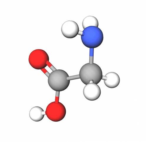 Glycine