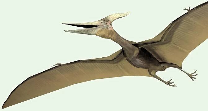 Pterodaktyl