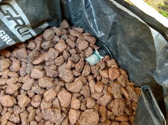 Building a Better Wicking Bed – Bremen Saki