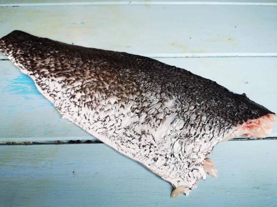 Smuha královská filet s kůží 500-700g