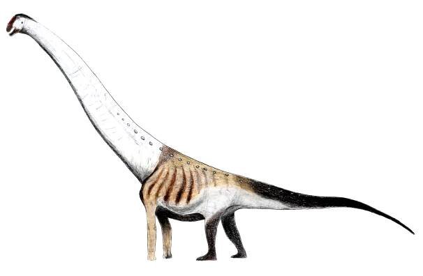 Aegyptosaurus