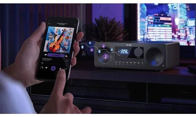 Sharp XL-B720D(BK)