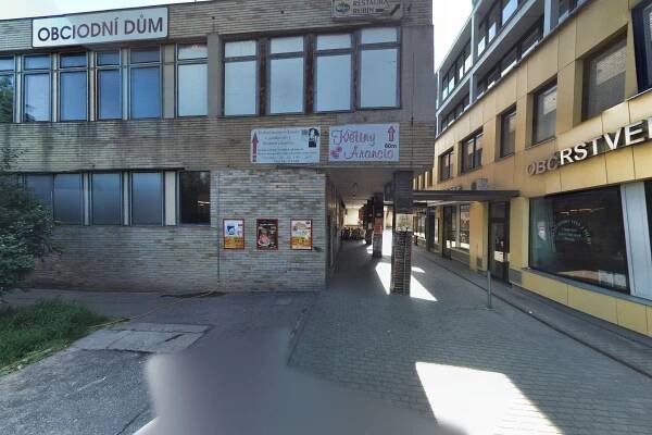 Bowling Darts Rubin foto 5
