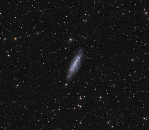 NGC4236 HaLRGB – stozhary.org