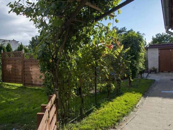 Dvůr - apartmán k pronajmutí Velké Pavlovice - foto 4