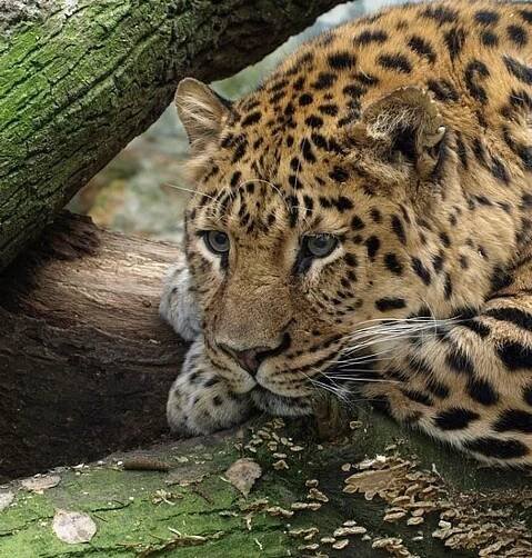 Zoo Děčín