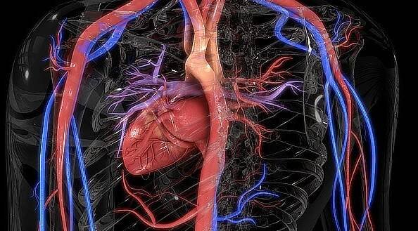 Chronická ischemická choroba srdeční: diagnostika...
