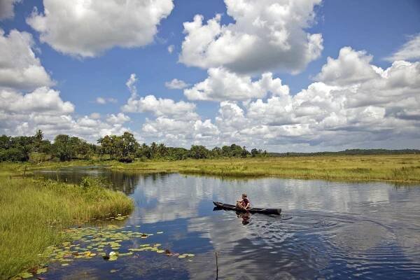 Guyana: Wissenswertes für deine Reise ViaLibre