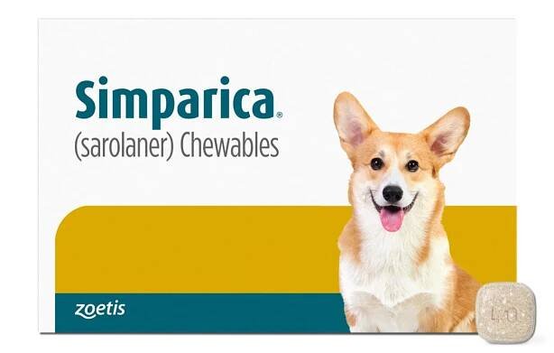 Simparica for Pet Owners | Zoetis Petcare