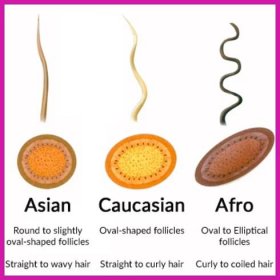 hair shape by race