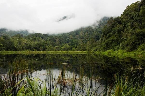 Five Lakes Expedition - A Multi-Day Jungle Trek in Sumatra, Kerinci Seblat