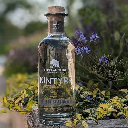 Boar Botanicals: Sheep Sorrel · Beinn An Tuirc Distillers