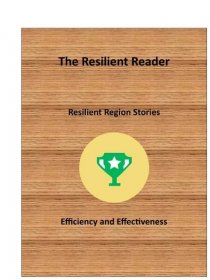 Efficiency and Effectiveness - Resilient Region - MN 