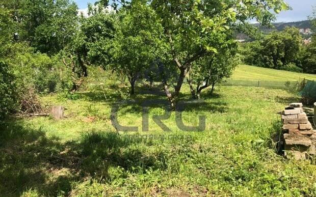 NABÍDKA PRODEJE ZAHRADY, BLANSKO | CREDO REAL GROUP a.s.
