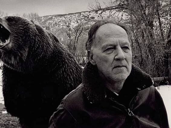 10 Fascinating Facts About Grizzly Man
