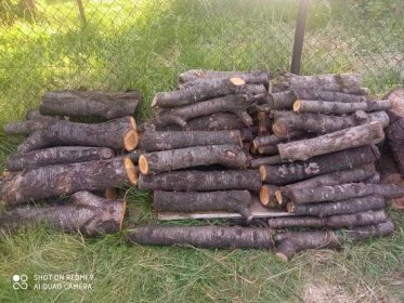 Prodám kvalitní třešňové dřevo vhodné na uzení, 2 roky staré, vysušené, cca 1 m dlouhá polínka, celkové množství cca 1,5 kubiku cena 800,-/kubik - InzerceTrinec.cz