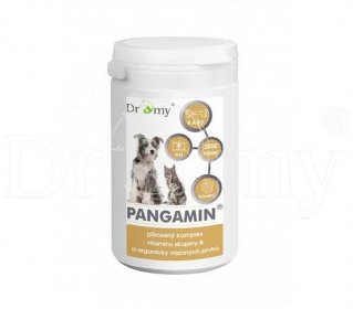 Pangamin MINI 1000 tablet - Dromy