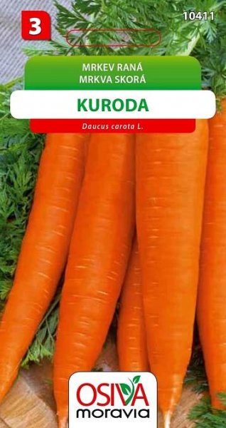 Mrkev Raná - Kuroda (Daucus carota L.)