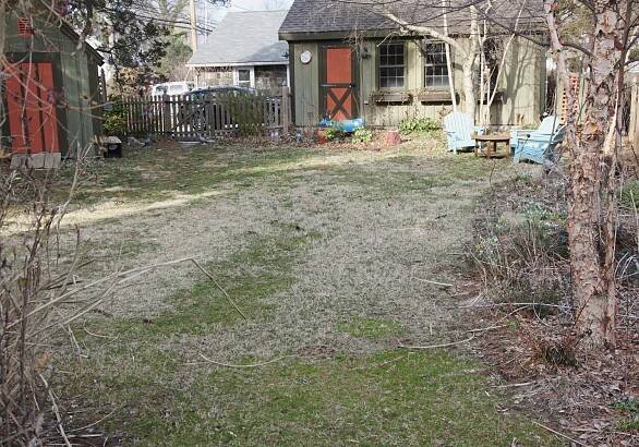 yard-earlyspring