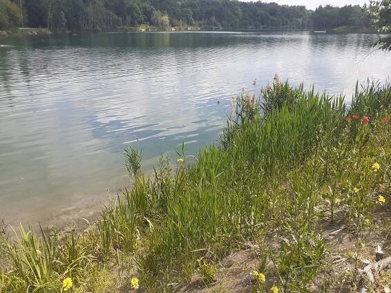 Tonoucího muže v Opavě vytáhli zpod hladiny svědci na místě