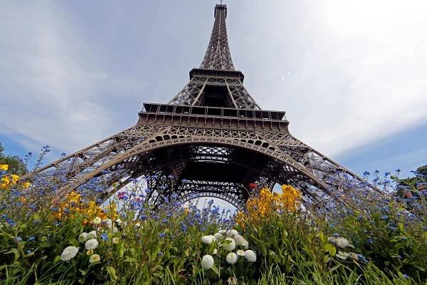 Flowers bloom beneath the Eiffel Tower in Paris.