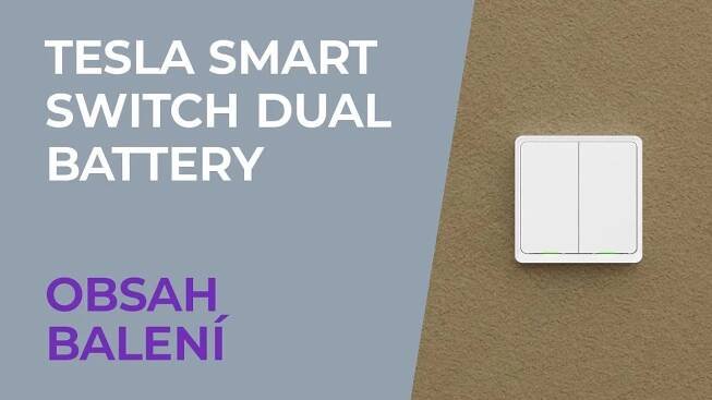 Tesla Smart Switch Dual Battery