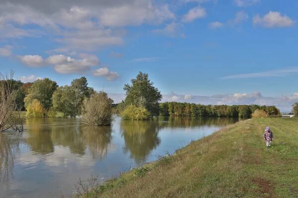Dyje se vylila z břehů… – Rybáři Podivín