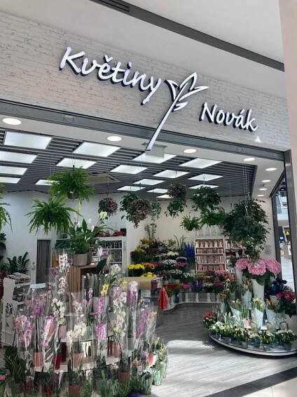 Květiny Novák foto 3