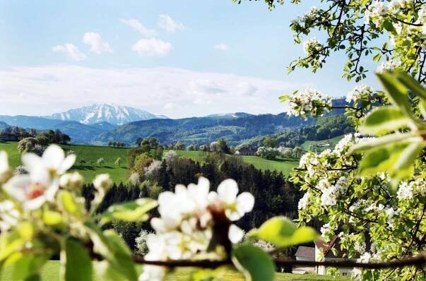 Ötscherblick Sehenswürdigkeiten