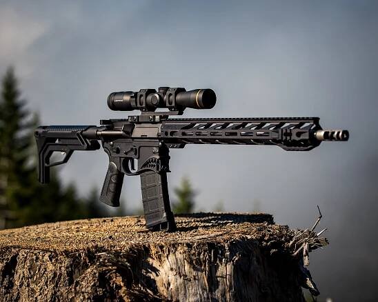 Best AR-15 Hunting Scope - HuntingSage