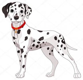 Stáhnout - Ilustrace roztomilé Dalmatin pes veškerou pozornost — Ilustrace