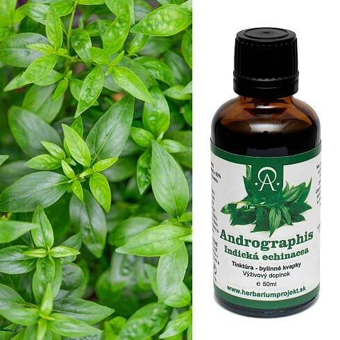 Andrographis, Indická echinacea, tinktúra, 50ml